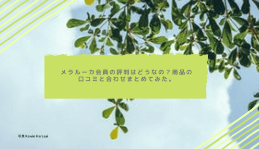 メラルーカの評判はヤバい？芸能人・リアルな口コミを解説